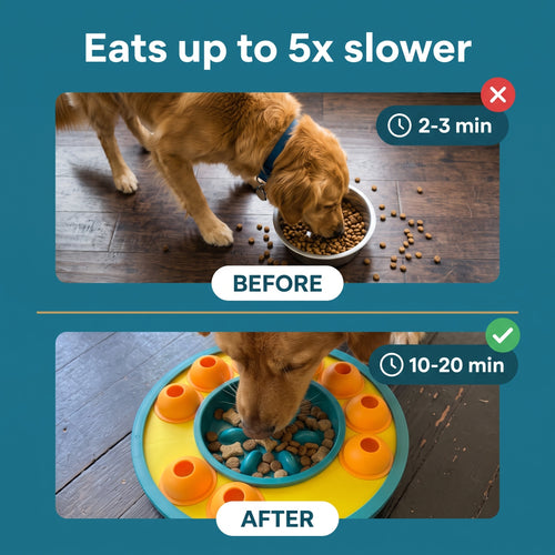 Slow Feeder Puzzle Bowl for Cats & Small-to-Medium Dogs